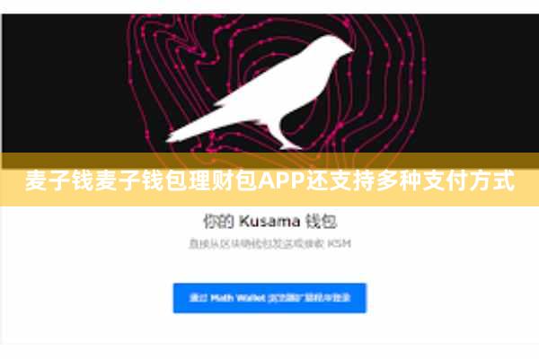麦子钱麦子钱包理财包APP还支持多种支付方式