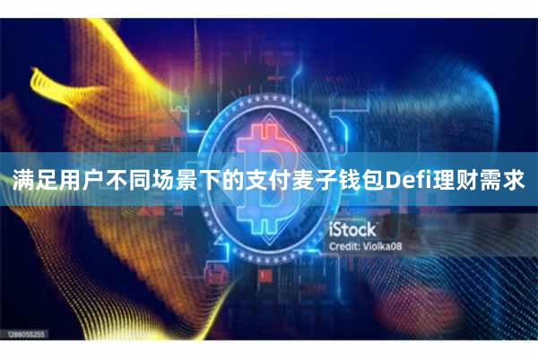 满足用户不同场景下的支付麦子钱包Defi理财需求