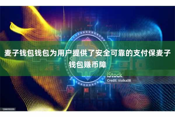 麦子钱包钱包为用户提供了安全可靠的支付保麦子钱包赚币障