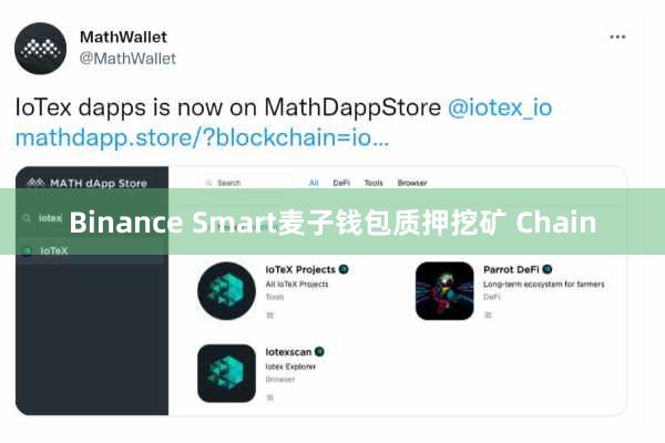 Binance Smart麦子钱包质押挖矿 Chain