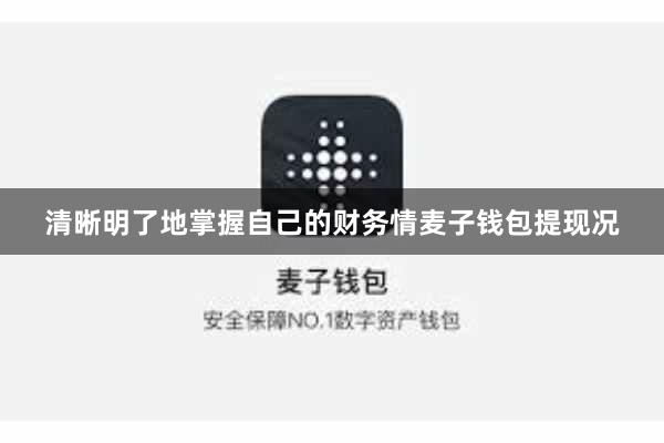 清晰明了地掌握自己的财务情麦子钱包提现况