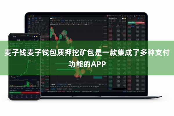 麦子钱麦子钱包质押挖矿包是一款集成了多种支付功能的APP