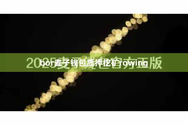 bor麦子钱包质押挖矿rowing