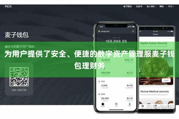 为用户提供了安全、便捷的数字资产管理服麦子钱包理财务