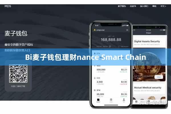 Bi麦子钱包理财nance Smart Chain
